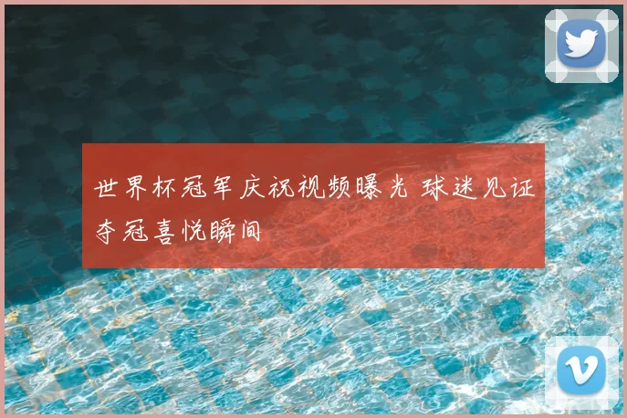 世界杯冠军庆祝视频曝光 球迷见证夺冠喜悦瞬间