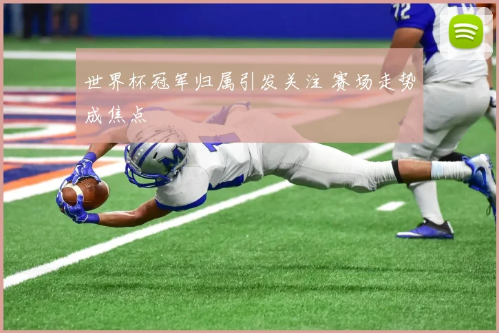 世界杯冠军归属引发关注 赛场走势成焦点