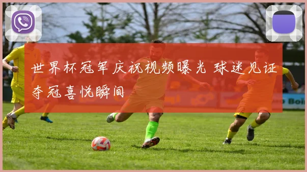世界杯冠军庆祝视频曝光 球迷见证夺冠喜悦瞬间